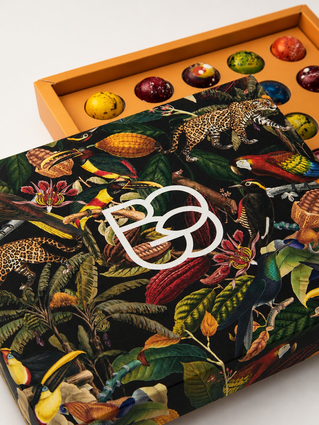 Caja especial Bogo abierta con bombones y gráfica inspirada en la biodiversidad del cacao