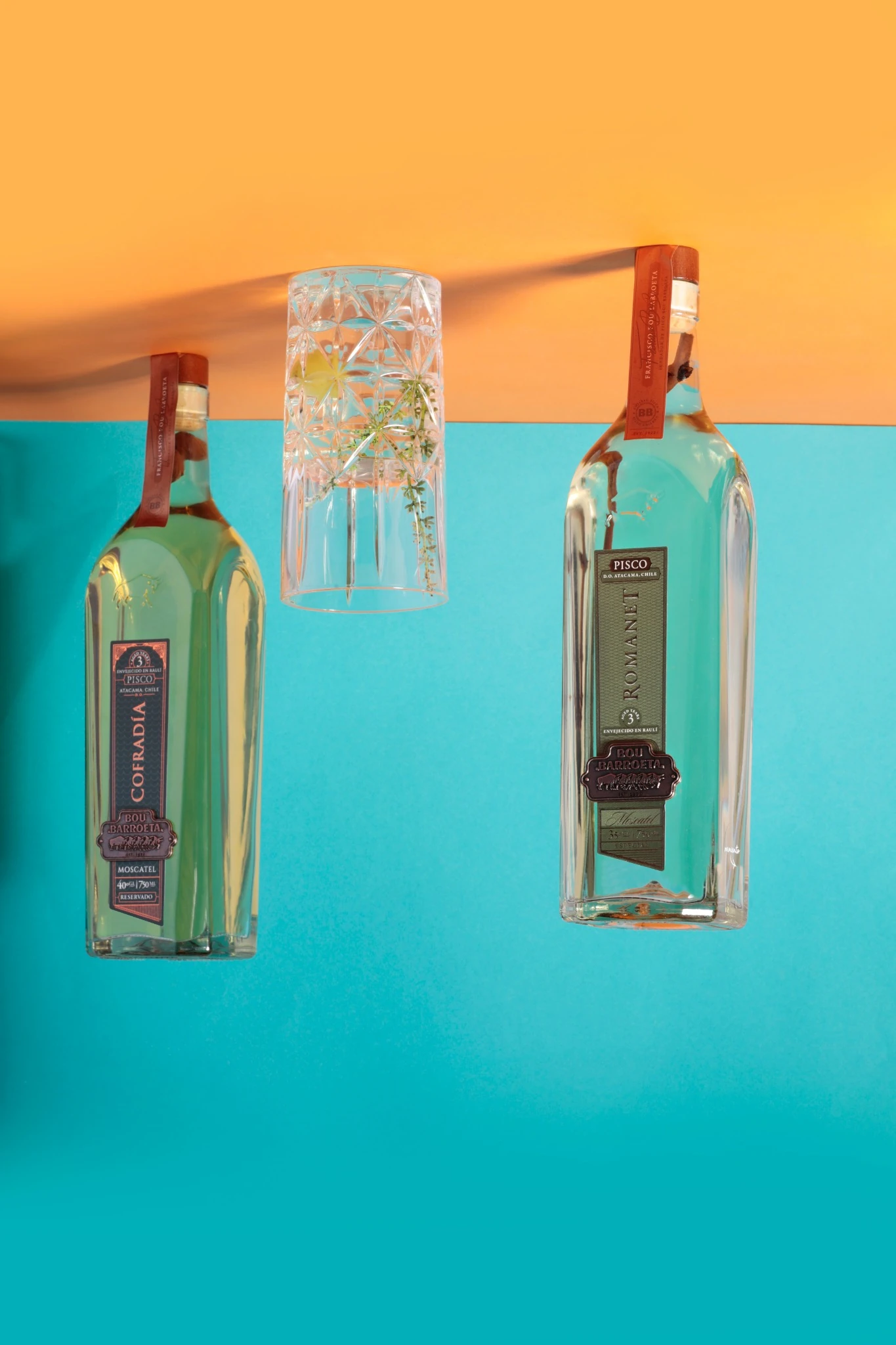 Botellas Cofradía y Romanet de Bou Barroeta suspendidas sobre un fondo naranjo y turquesa, junto a un vaso con hierbas.