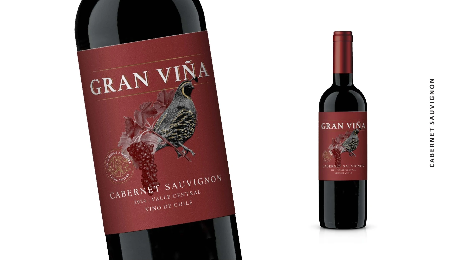Desarrollo Gran Viña Cabernet Sauvignon de JVD Estudio.