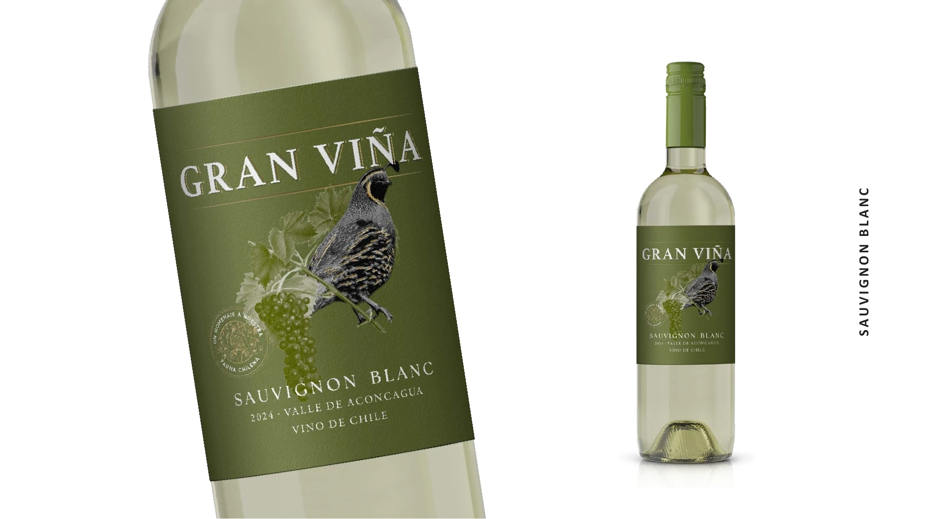 Desarrollo Gran Viña Sauvignon Blanc de JVD Estudio.