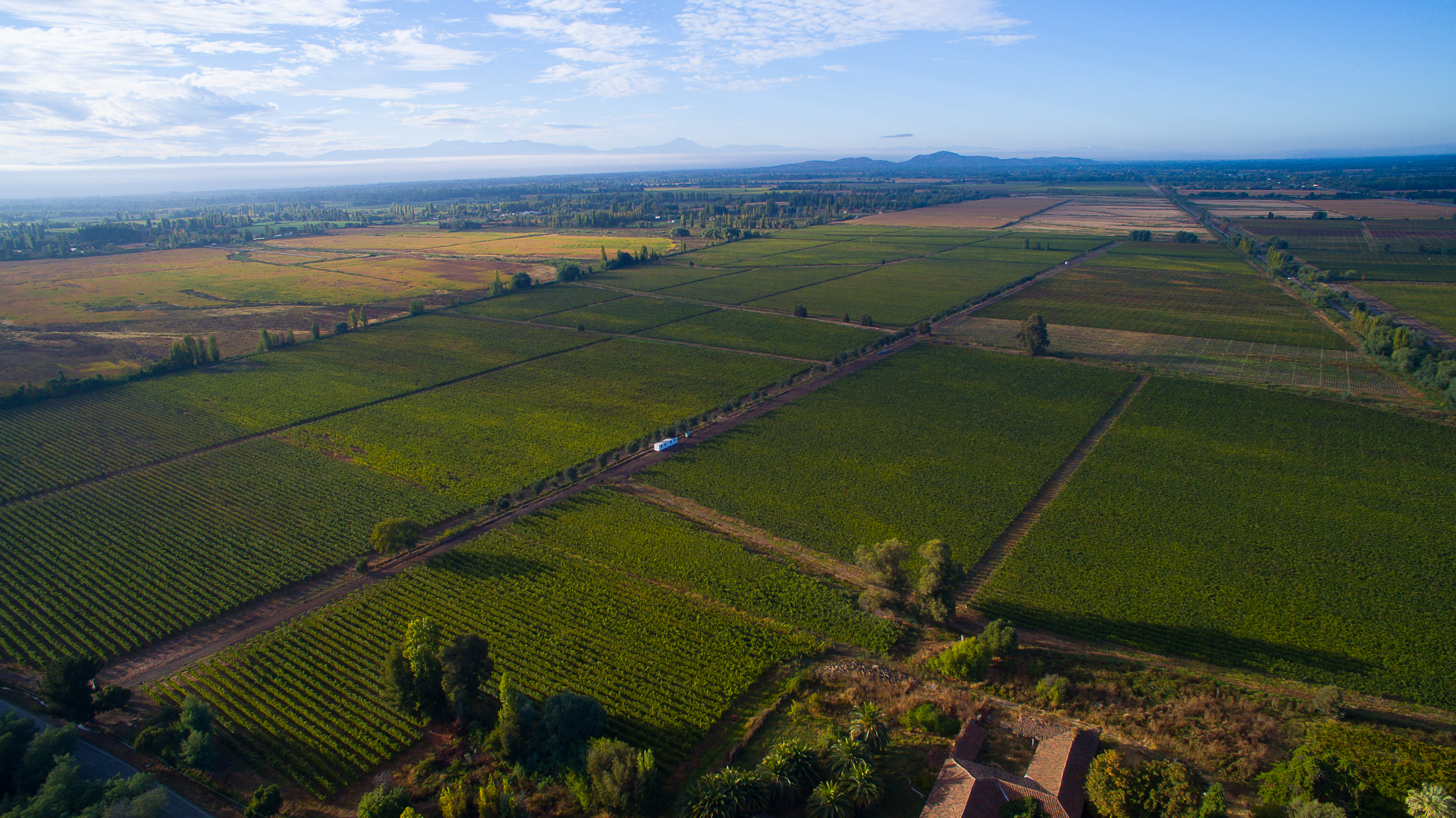 Vista aérea de los viñedos Cremaschi Furlotti en el Valle de Loncomilla.
