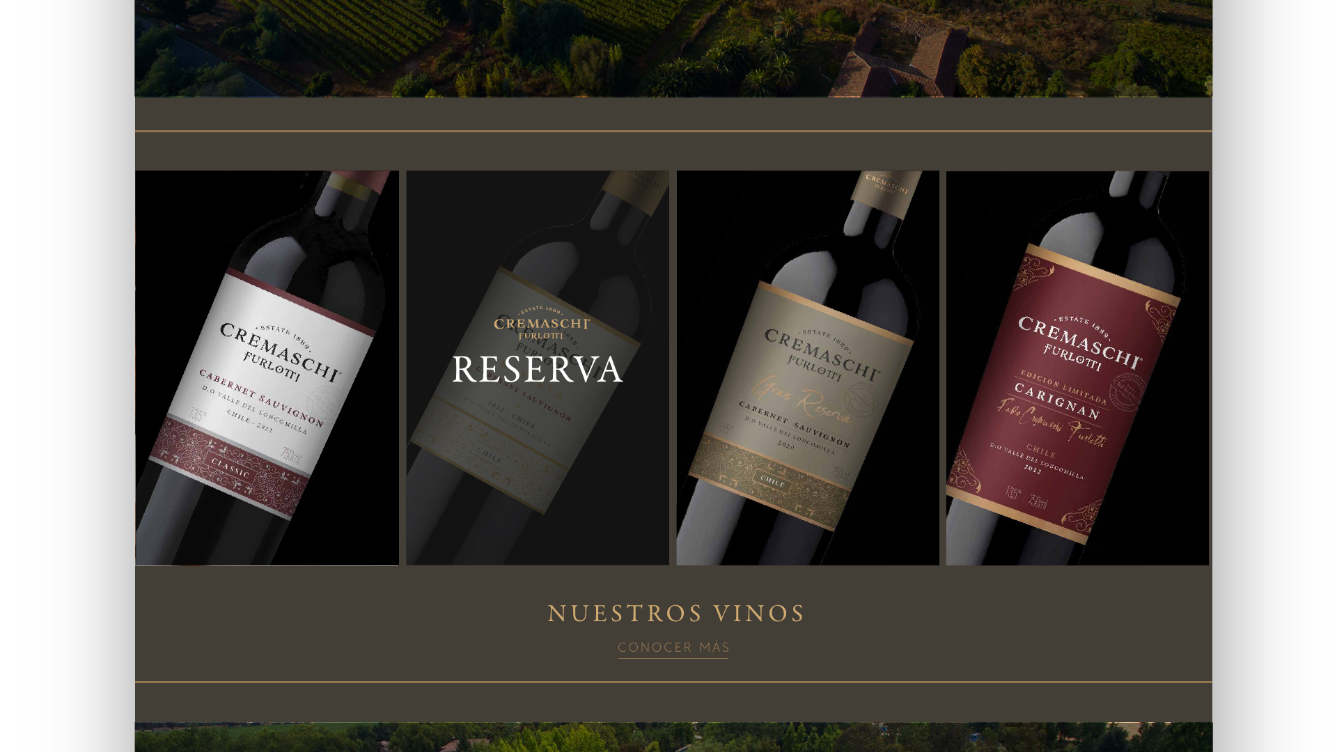 Pantalla de propuesta web que muestra distintas líneas del portafolio Cremaschi Furlotti.