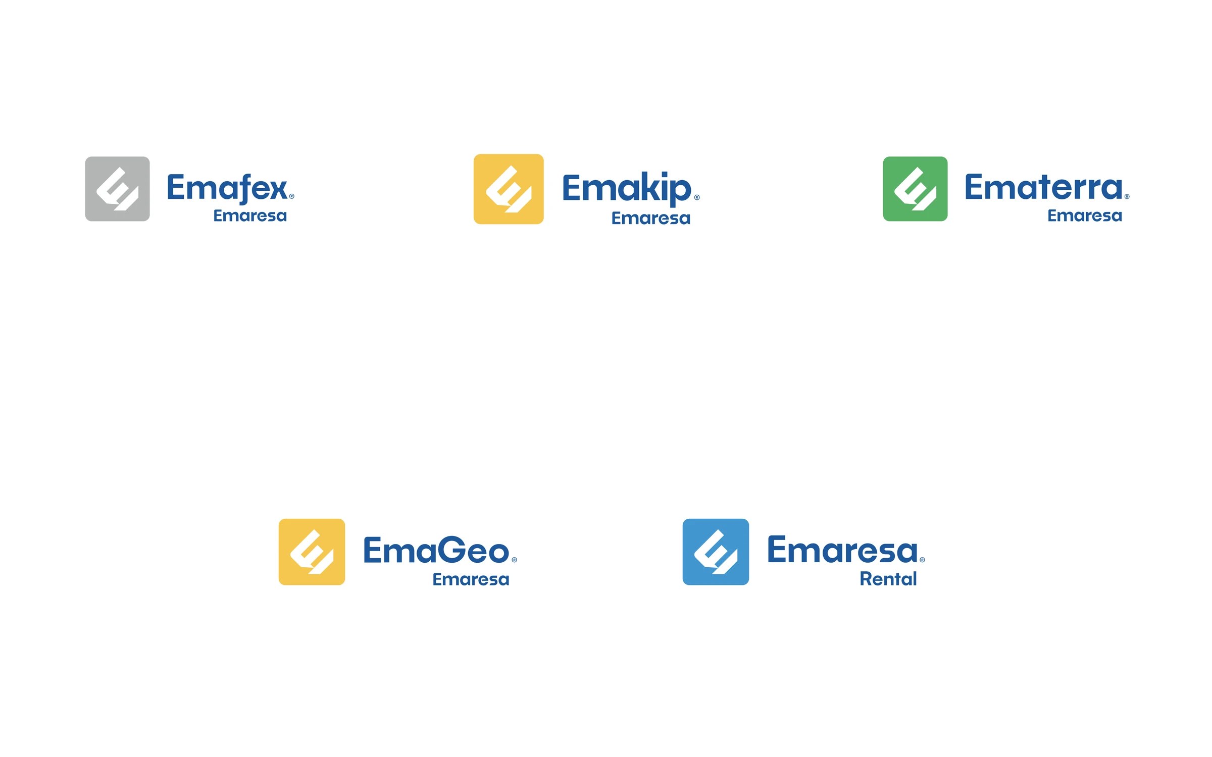 Arquitectura de las cinco submarcas de Grupo Emaresa: Emafex, Emakip, Ematerra, EmaGeo y Emaresa Rental