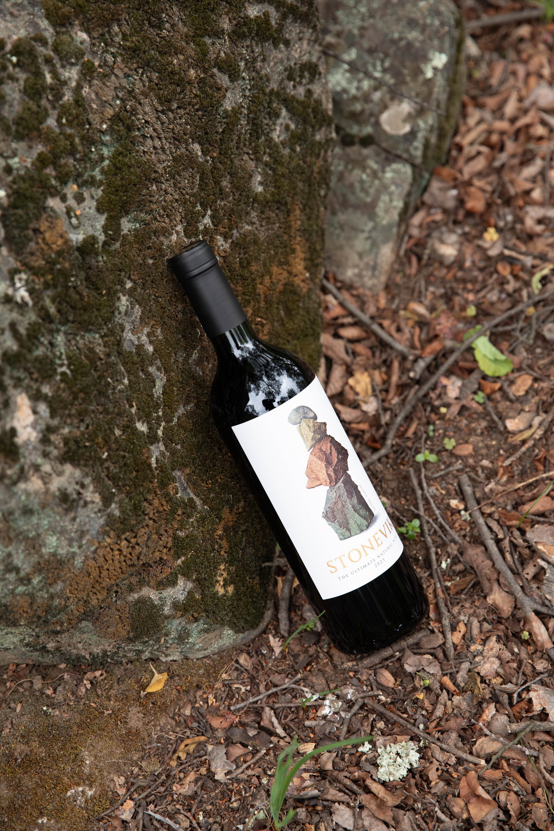 Botella de STONEVIK en el bosque