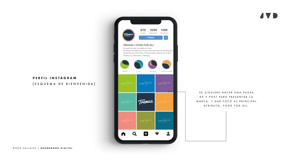 Propuesta de esquema de bienvenida para Instagram Tremus.