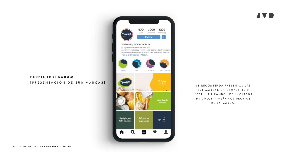 Propuesta de feed tradicional de Instagram Tremus con productos y bloques de color.