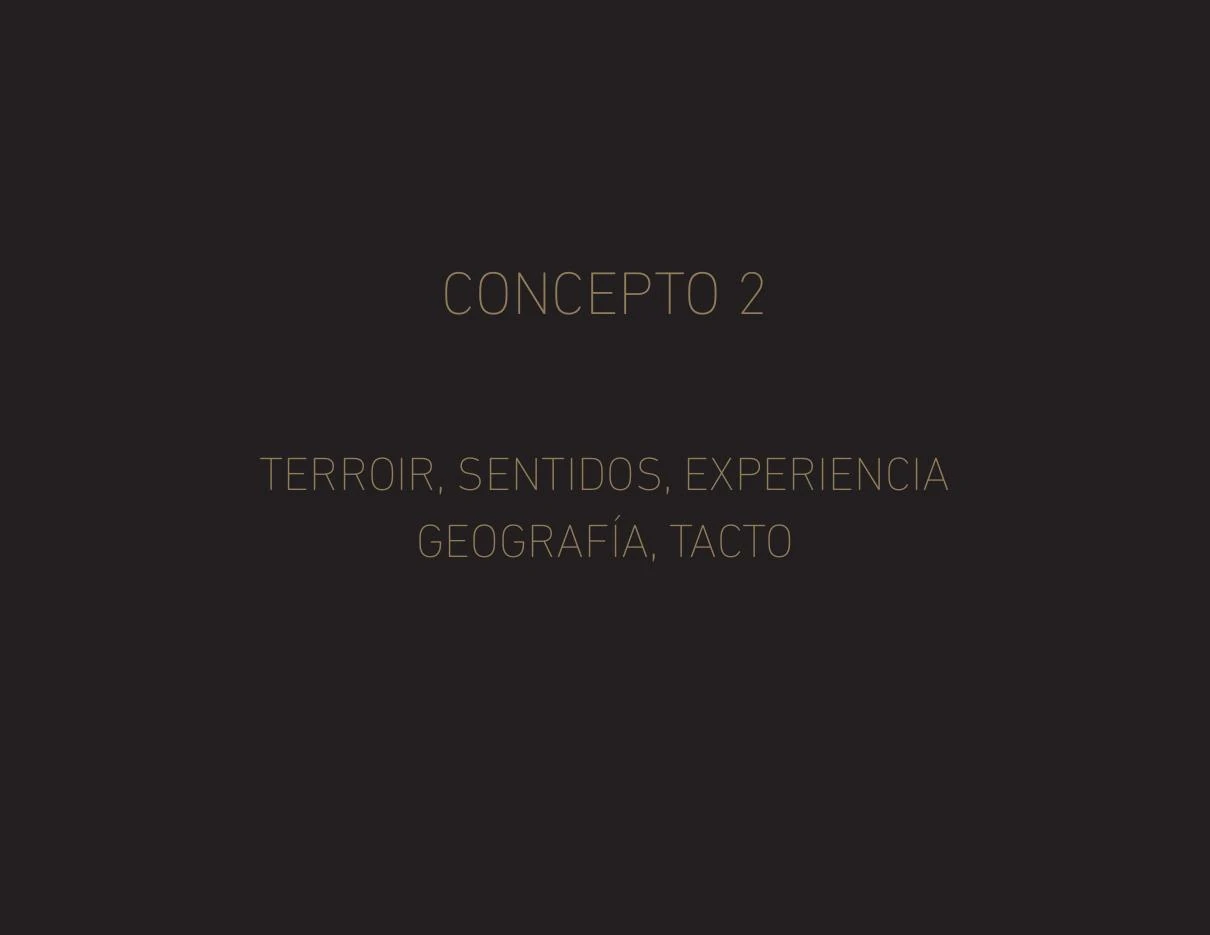 Página conceptual con las palabras terroir, sentidos, experiencia, geografía y tacto.