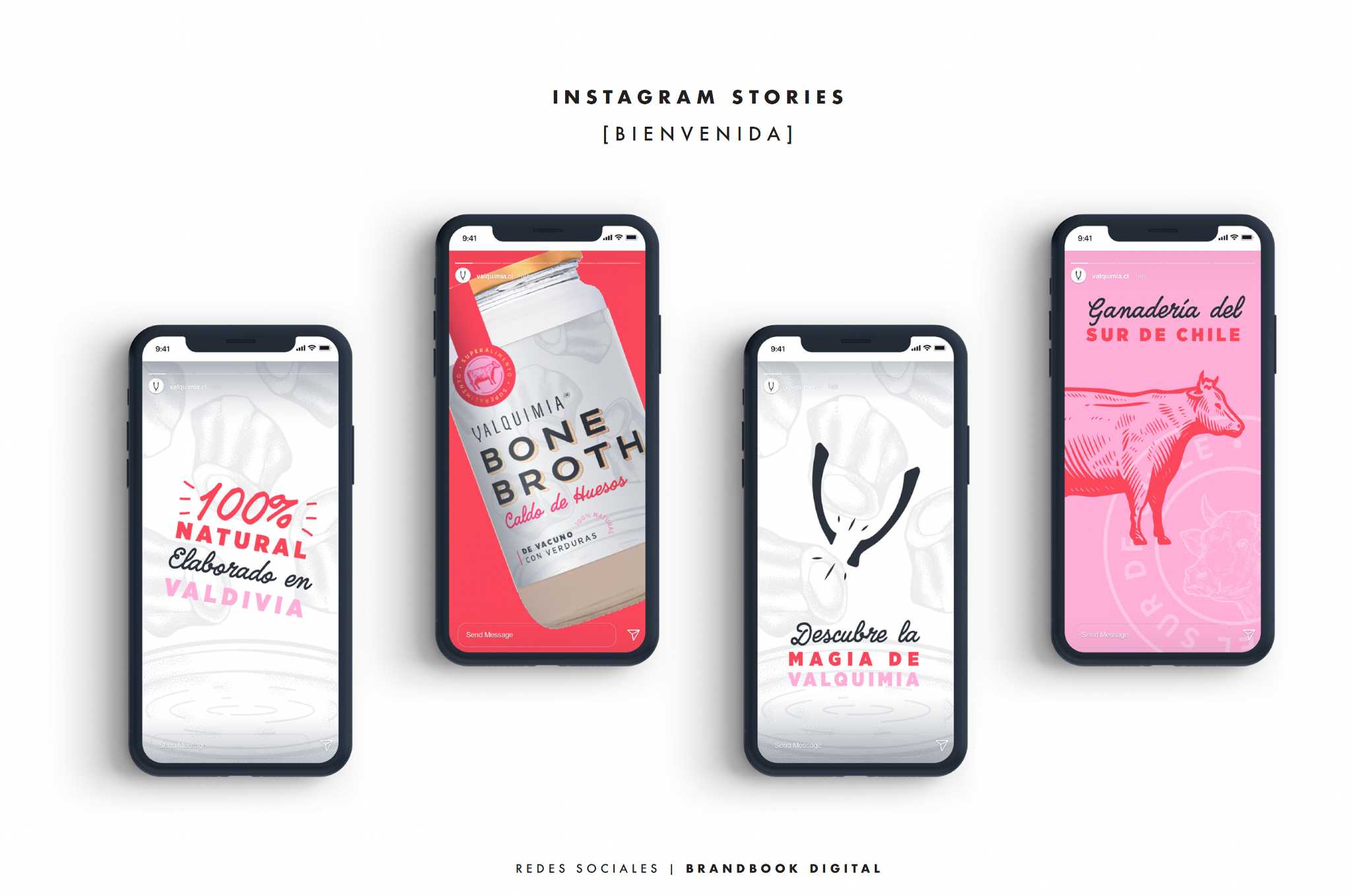 Manual de redes sociales de Valquimia: sistema de Stories de Instagram para el perfil de bienvenida.