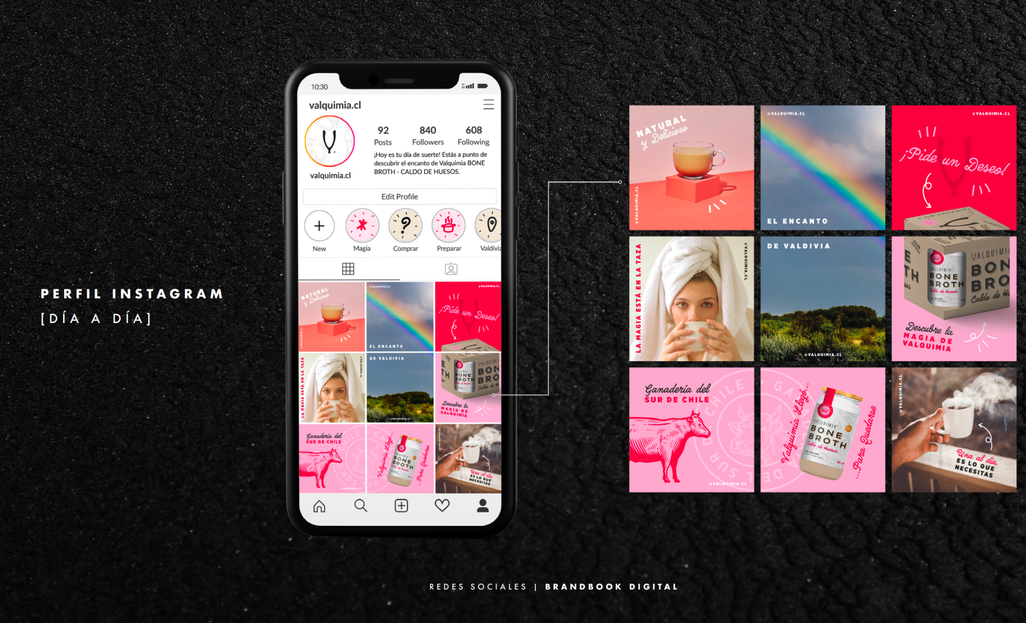 Manual de redes sociales de Valquimia: perfil de Instagram con la grilla de contenido del día a día.