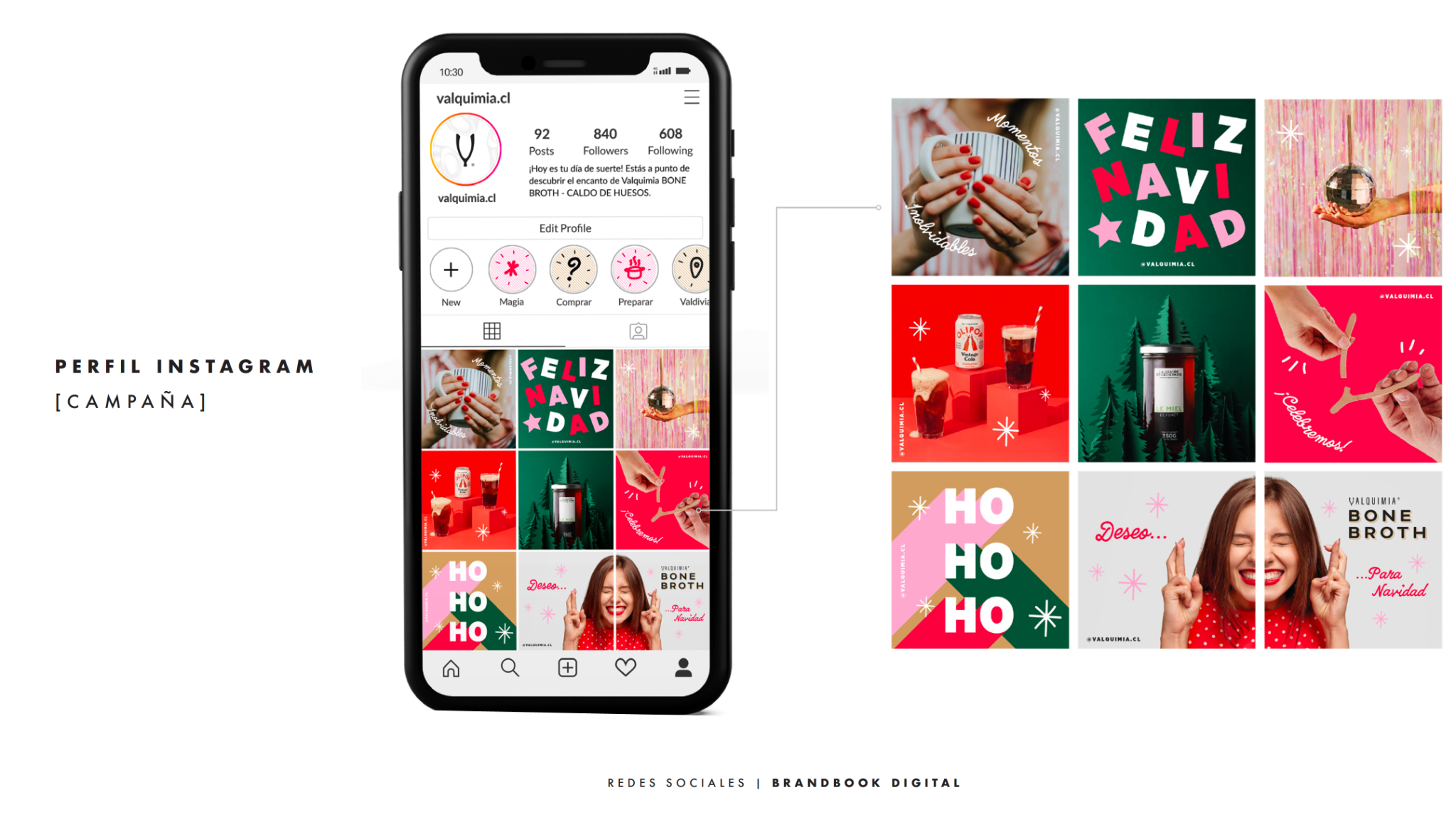 Manual de redes sociales de Valquimia: perfil de Instagram con la grilla de contenido de campaña.