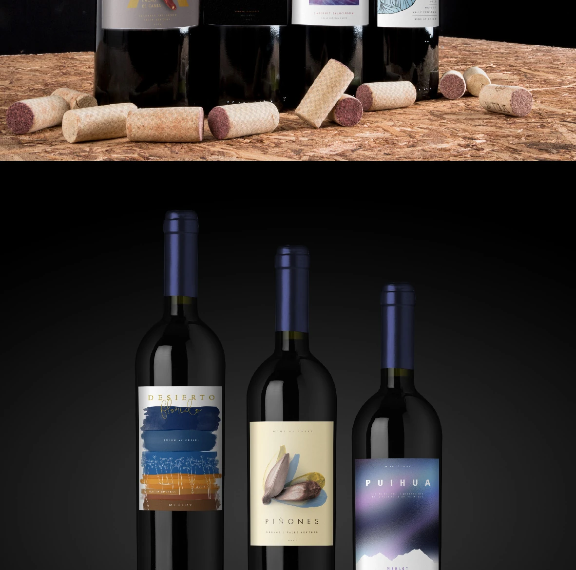 Cuatro botellas de vino sobre fondo negro con una familia de etiquetas de distintas inspiraciones.