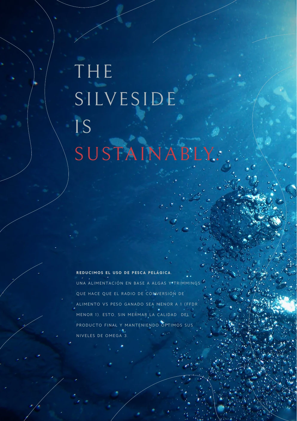 Pilar Sustainability del brandbook Silverside.