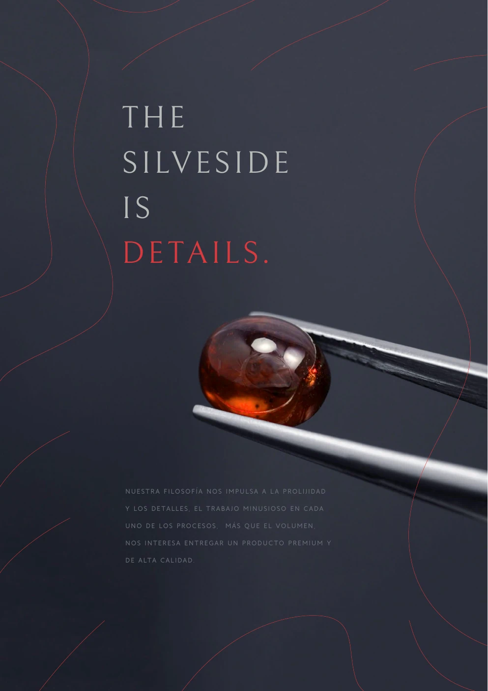Pilar Details del brandbook Silverside.