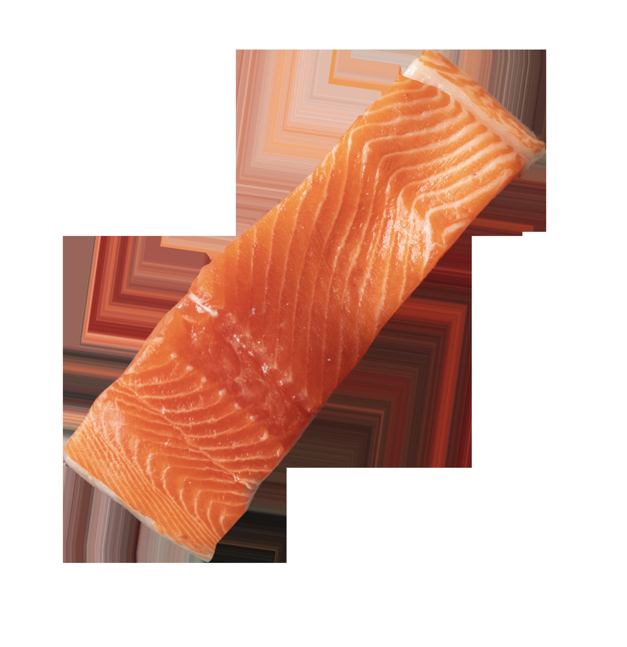 Porción de salmón Silverside en composición gráfica.