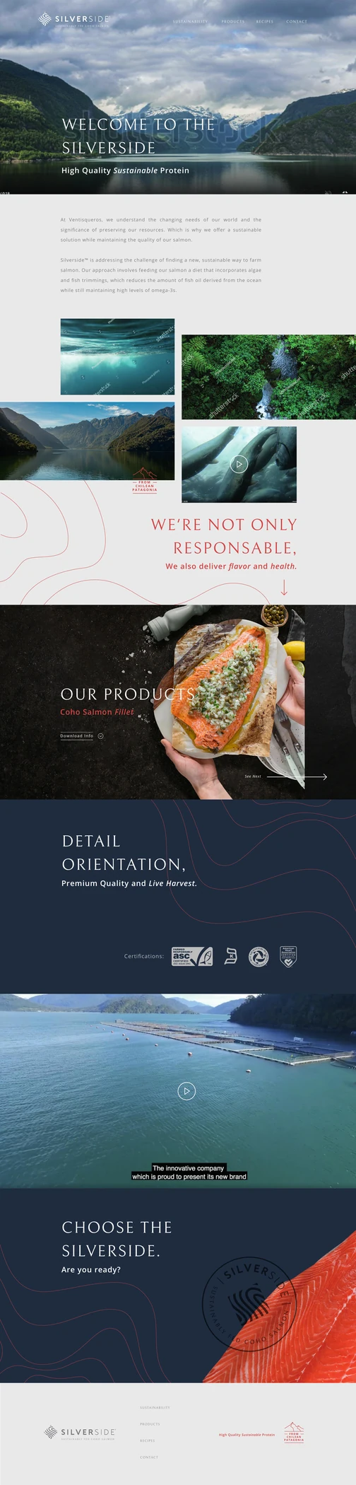 Diseño web Silverside con portada y navegación.