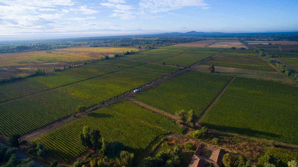 Vista aérea de los viñedos Cremaschi Furlotti en el Valle de Loncomilla.