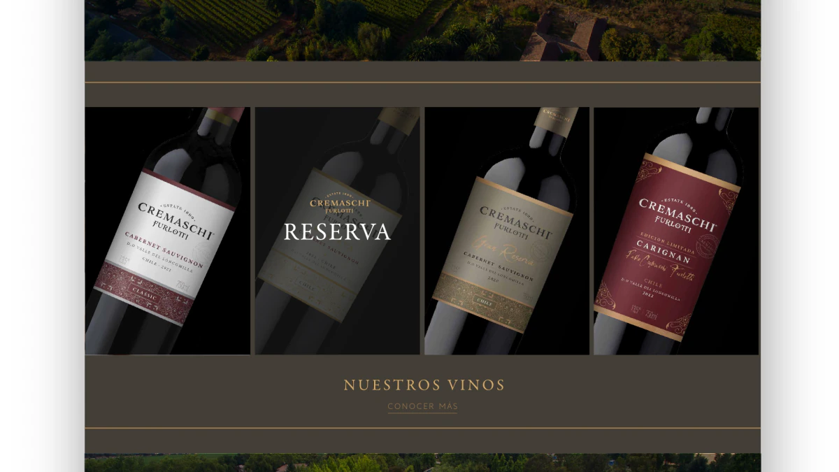 Pantalla de propuesta web que muestra distintas líneas del portafolio Cremaschi Furlotti.