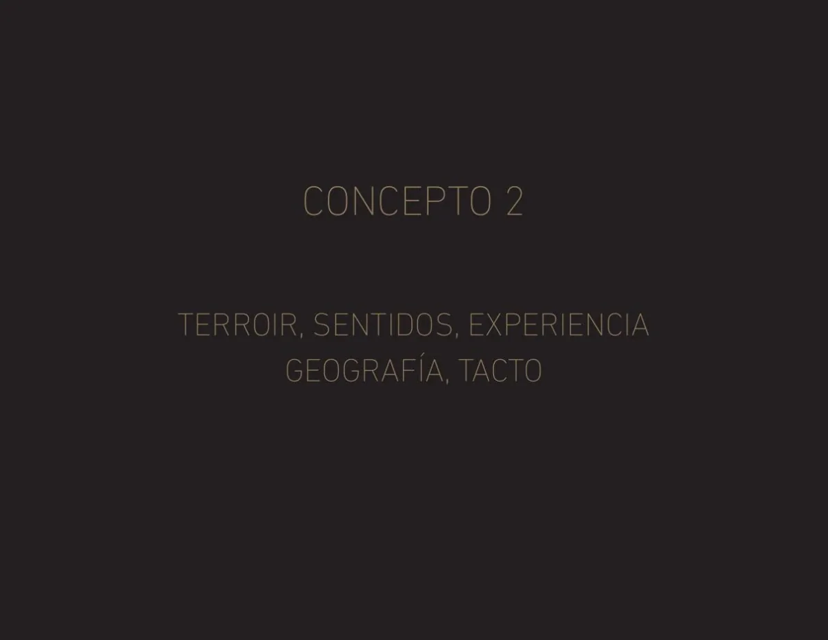 Página conceptual con las palabras terroir, sentidos, experiencia, geografía y tacto.