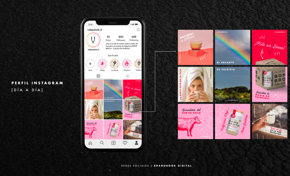 Manual de redes sociales de Valquimia: perfil de Instagram con la grilla de contenido del día a día.